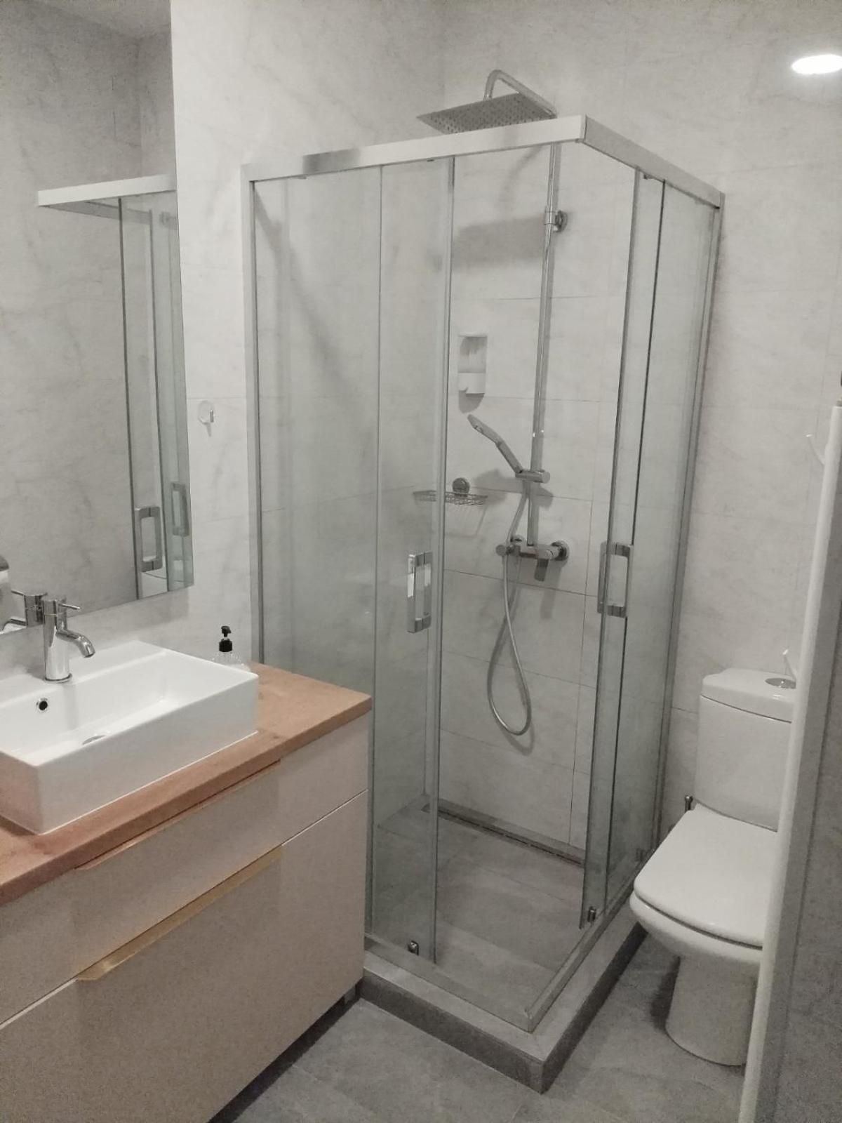 Apartment Centrum - Free Private Parking Novi Sad Eksteriør billede